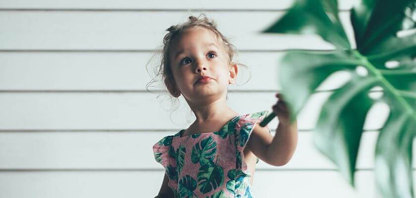 blog img 4 Trendsink